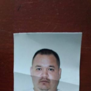 Meet your Posher, Tassisiak loft